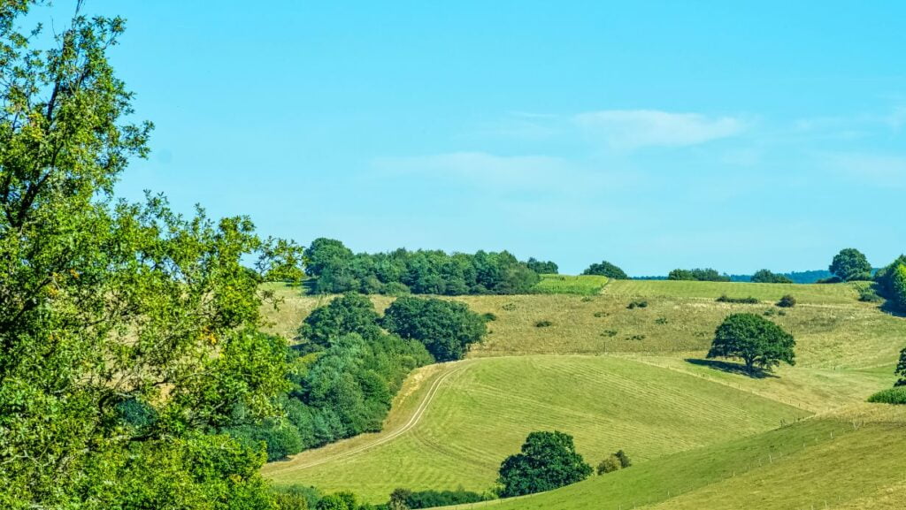 30-Minute Drive Tour Godalming with Woodlands Taxi